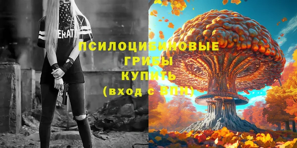 MESCALINE Аркадак