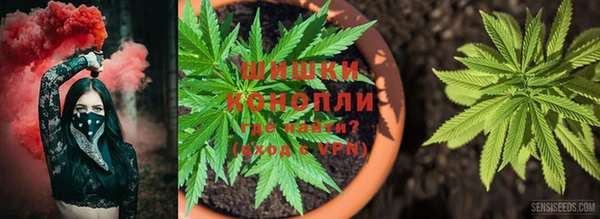 MESCALINE Аркадак