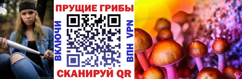 Псилоцибиновые грибы мухоморы  Аркадак 