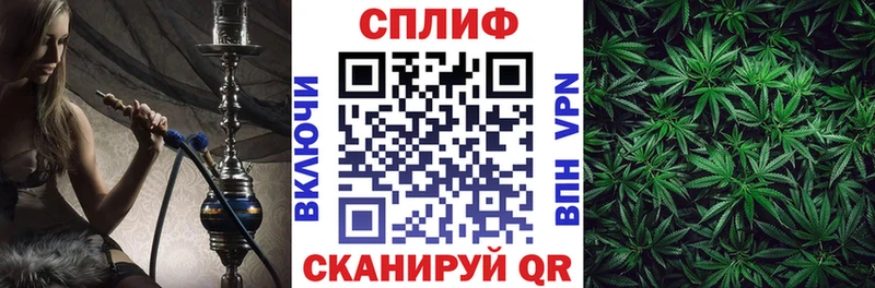 Каннабис MAZAR  Аркадак 